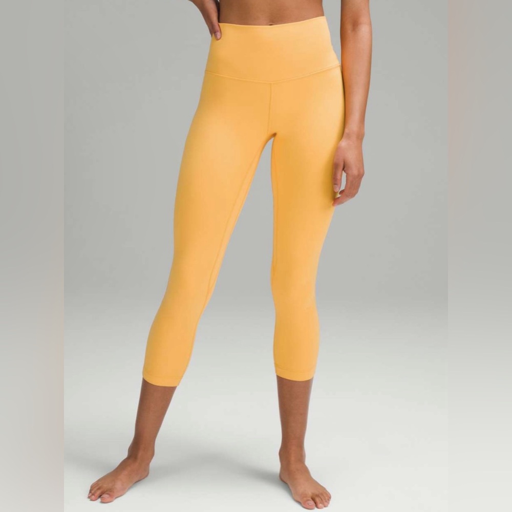 Brand new! This has never been worn, still has a tag, and is new